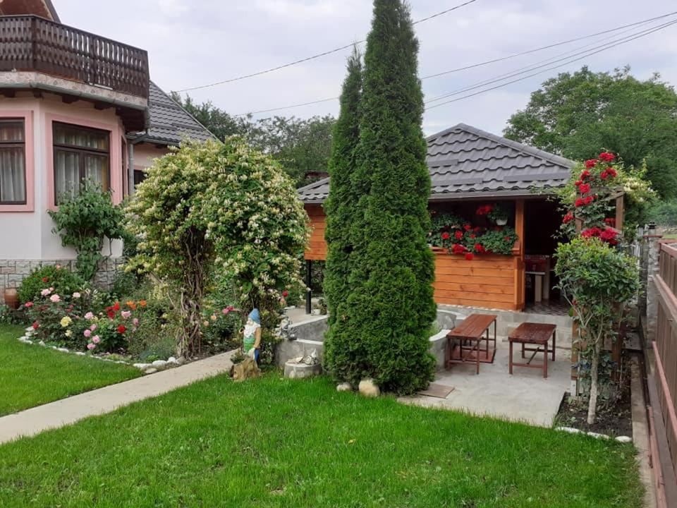 Casa Fetic Apartment Nehoiu Exterior photo