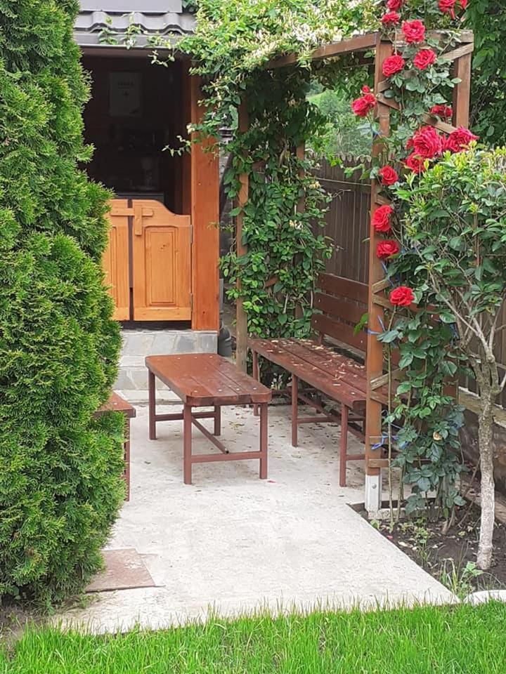 Casa Fetic Apartment Nehoiu Exterior photo